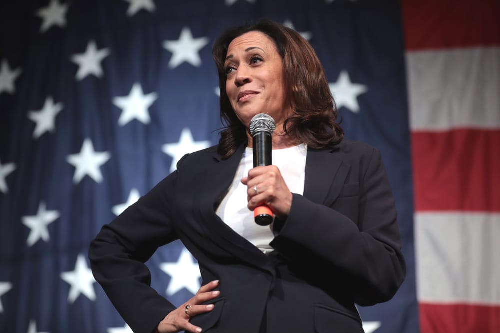 Kamala’s bid for presidency is a mockery of democracy post image