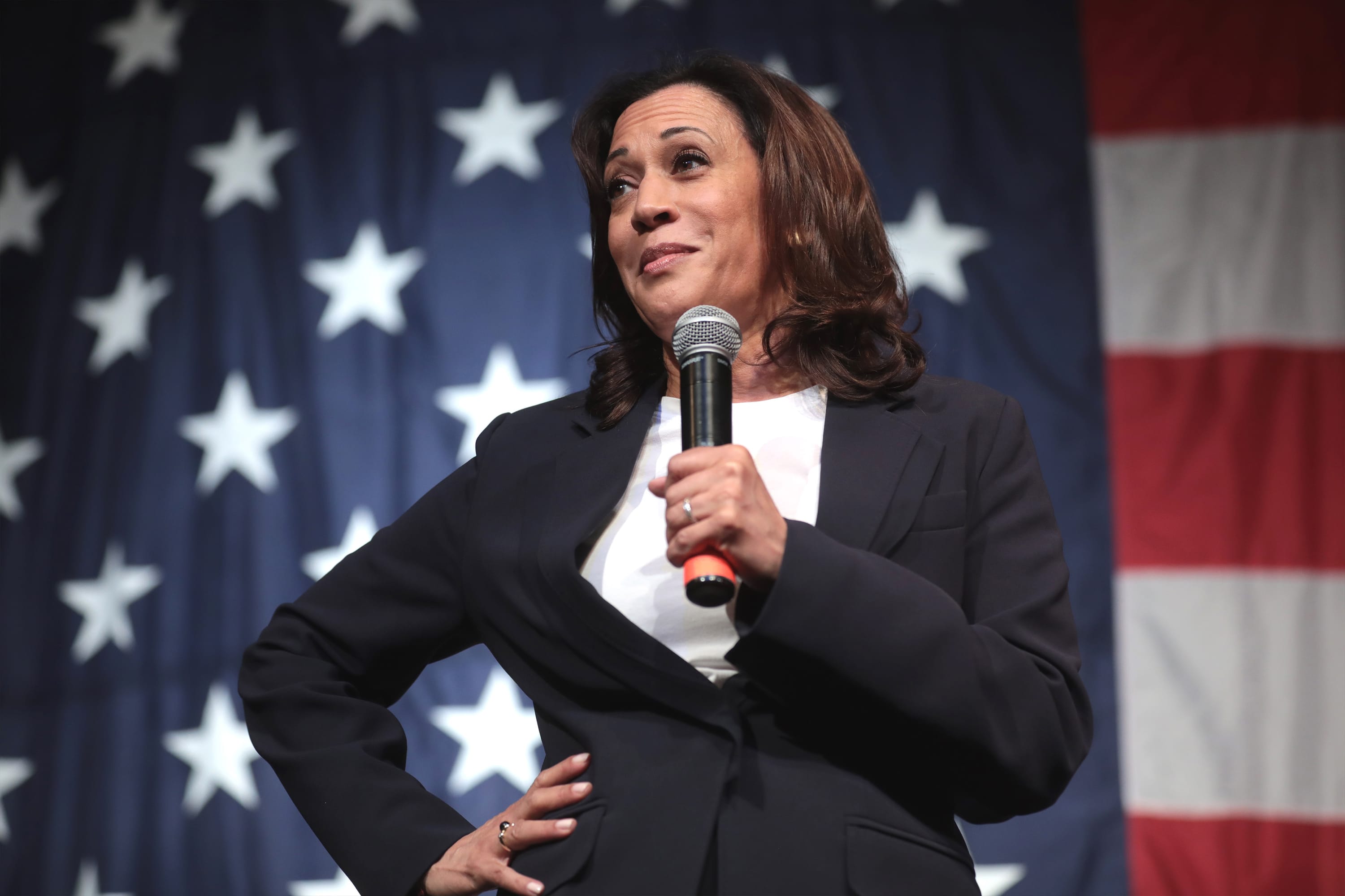 Kamala’s bid for presidency is a mockery of democracy